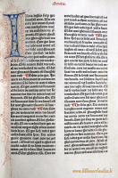 Delftse-1477-2