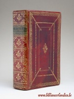 NT-Verschuur-1705-BandRug-BN