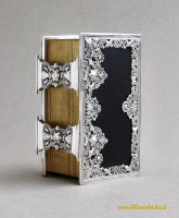 SV-4ZZ-1853-Roelfsema-1