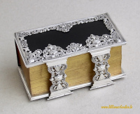 SV-4ZZ-1853-Roelfsema-2